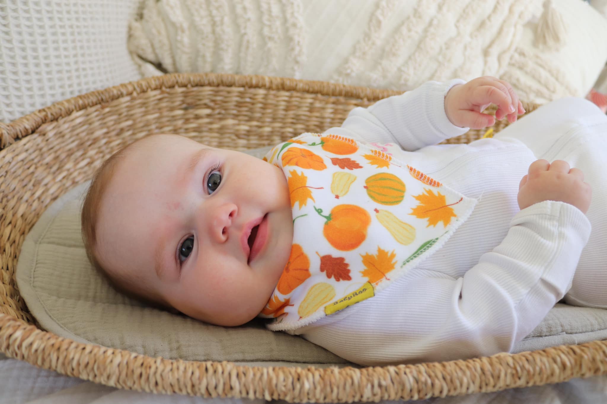 Lauren's Picks (girl bib bundle)