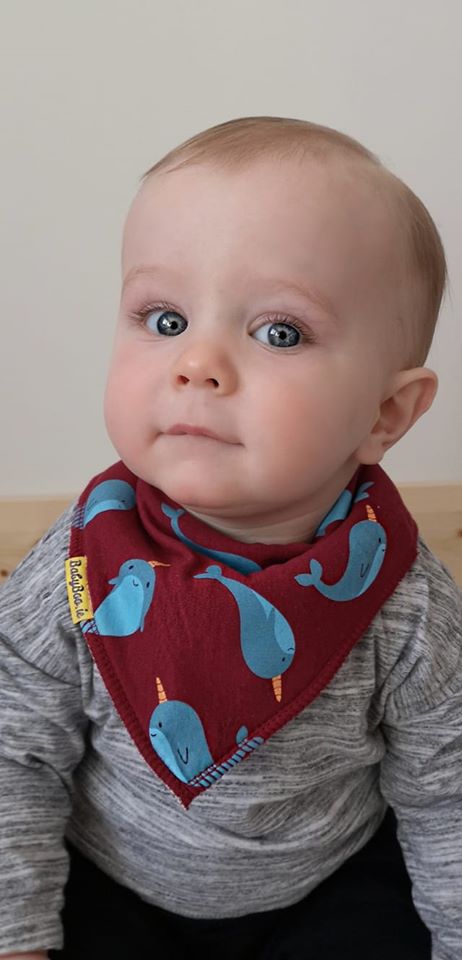 Lauren's Picks (boy bib bundle)