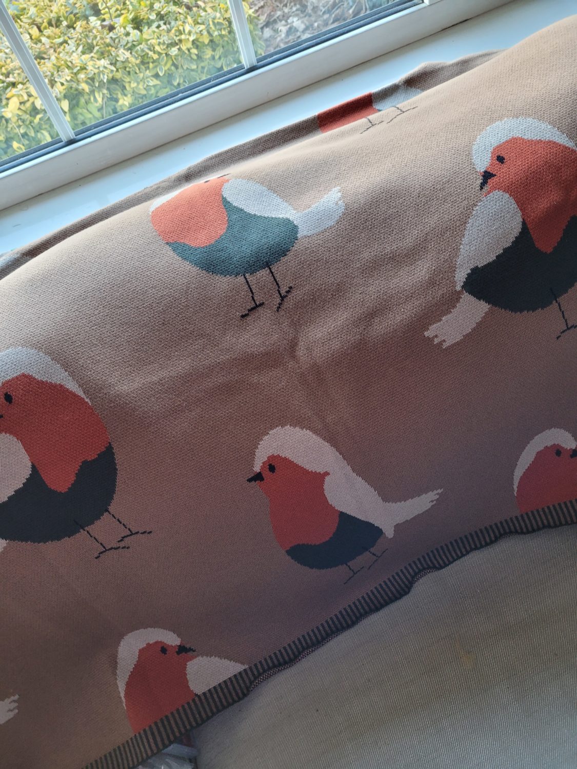 Robin organic cotton Family Cuddle blanket (no box/personalisation)