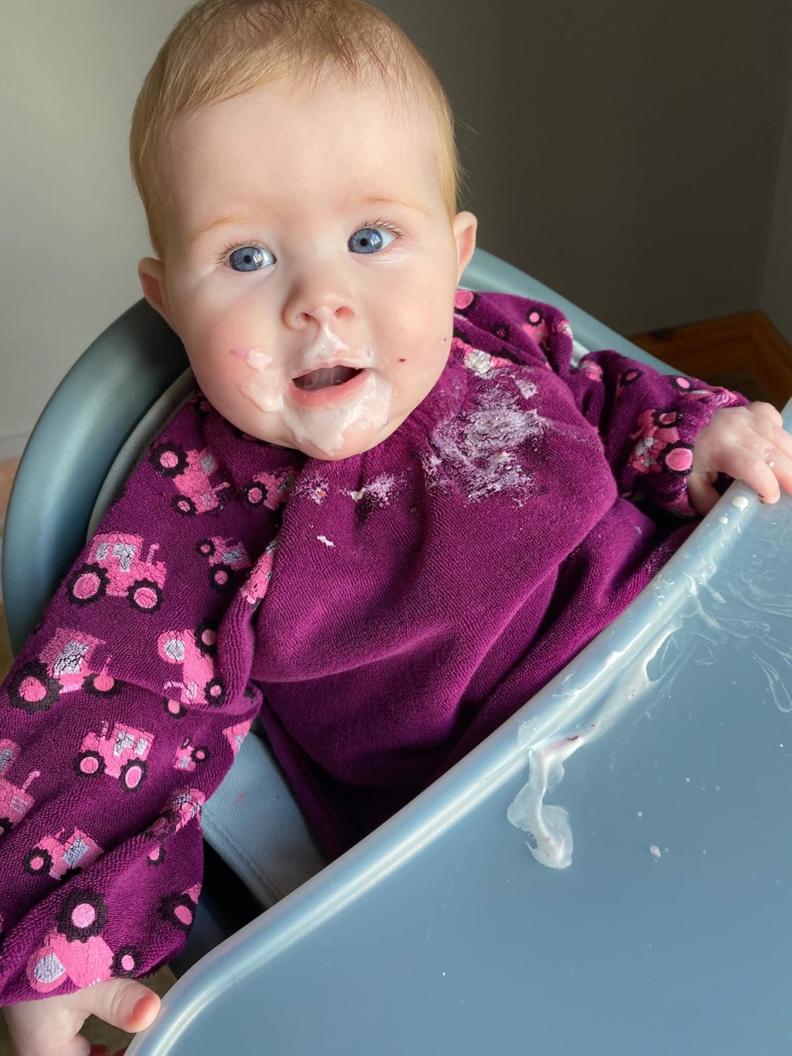 Plum tractors YummyBoo feeding bib