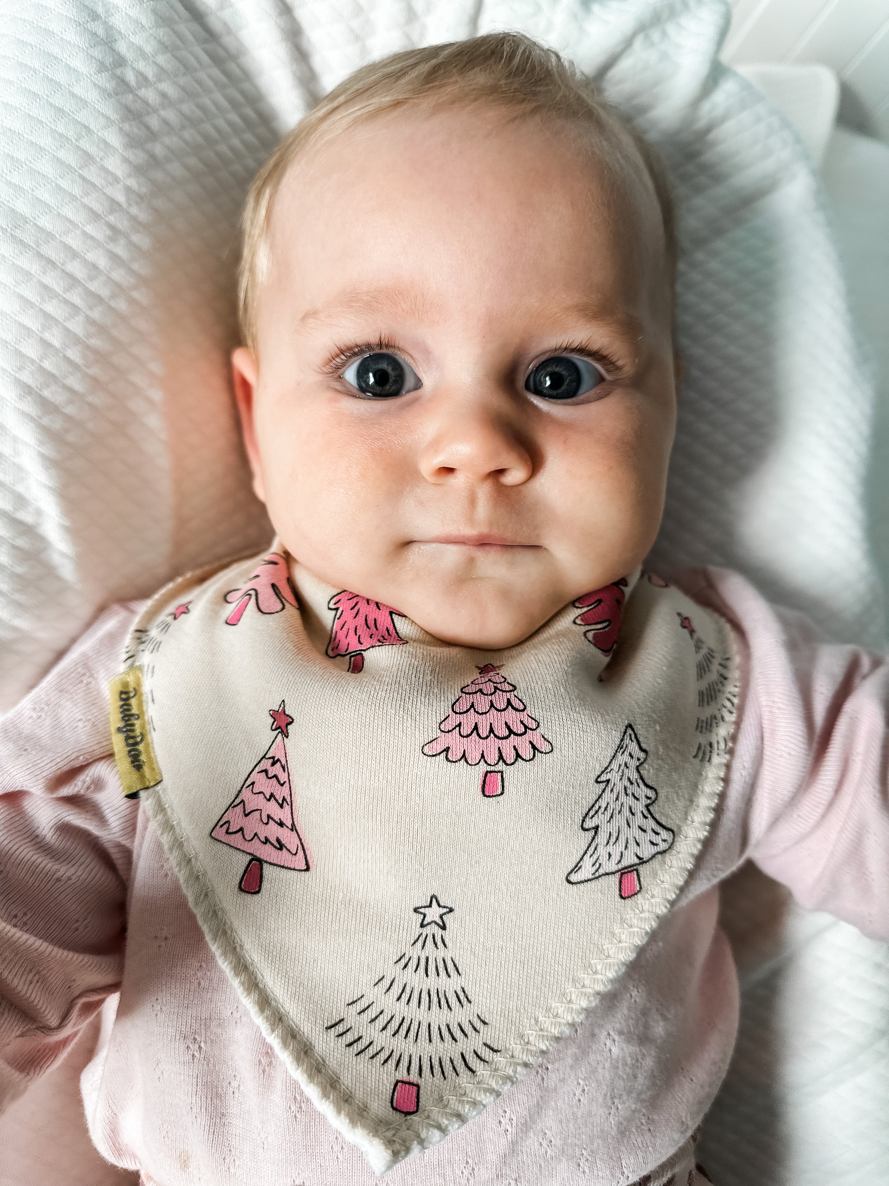 Tiktok Christmas bundle of bibs