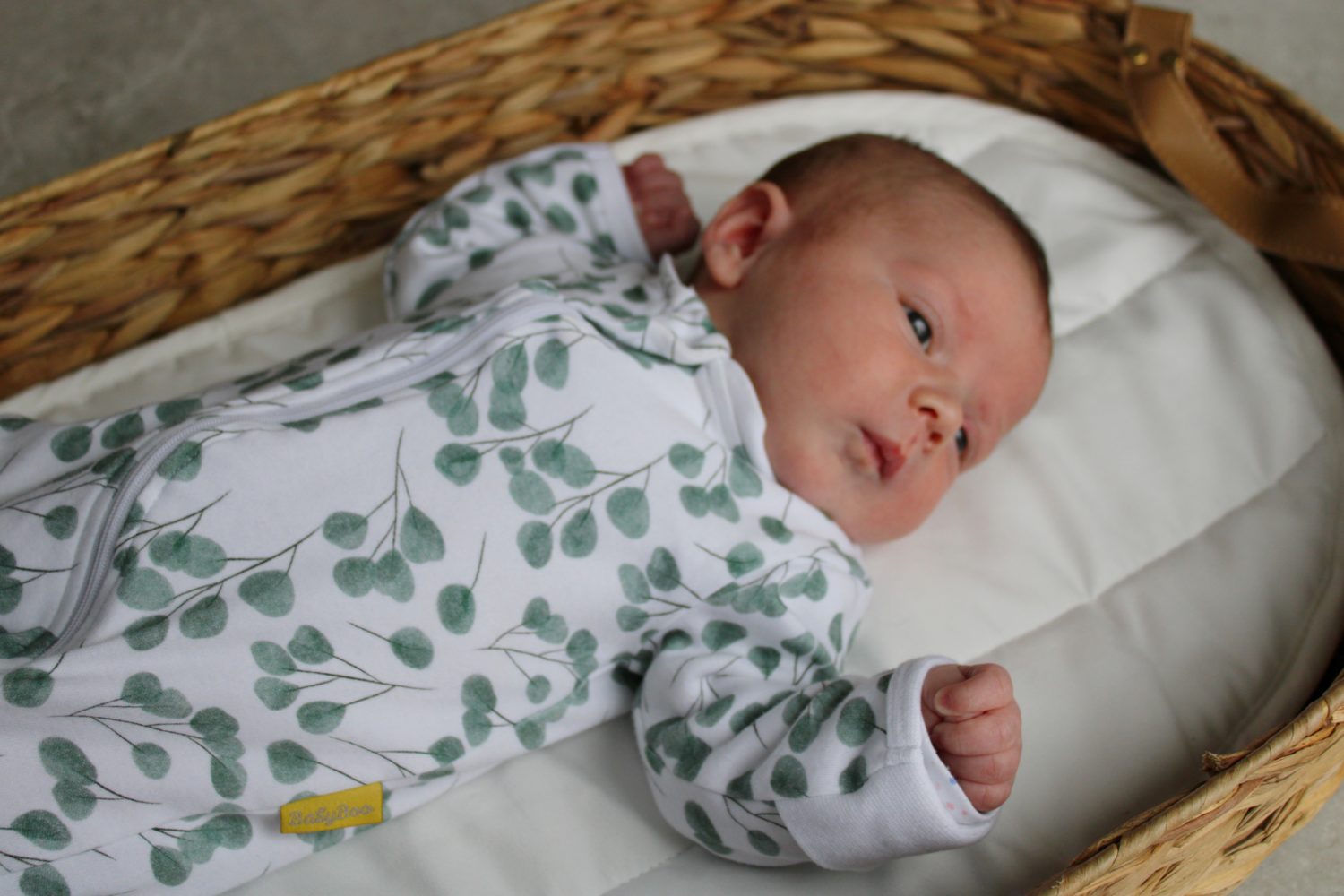 Eucalyptus organic cotton ZippyBoo suit