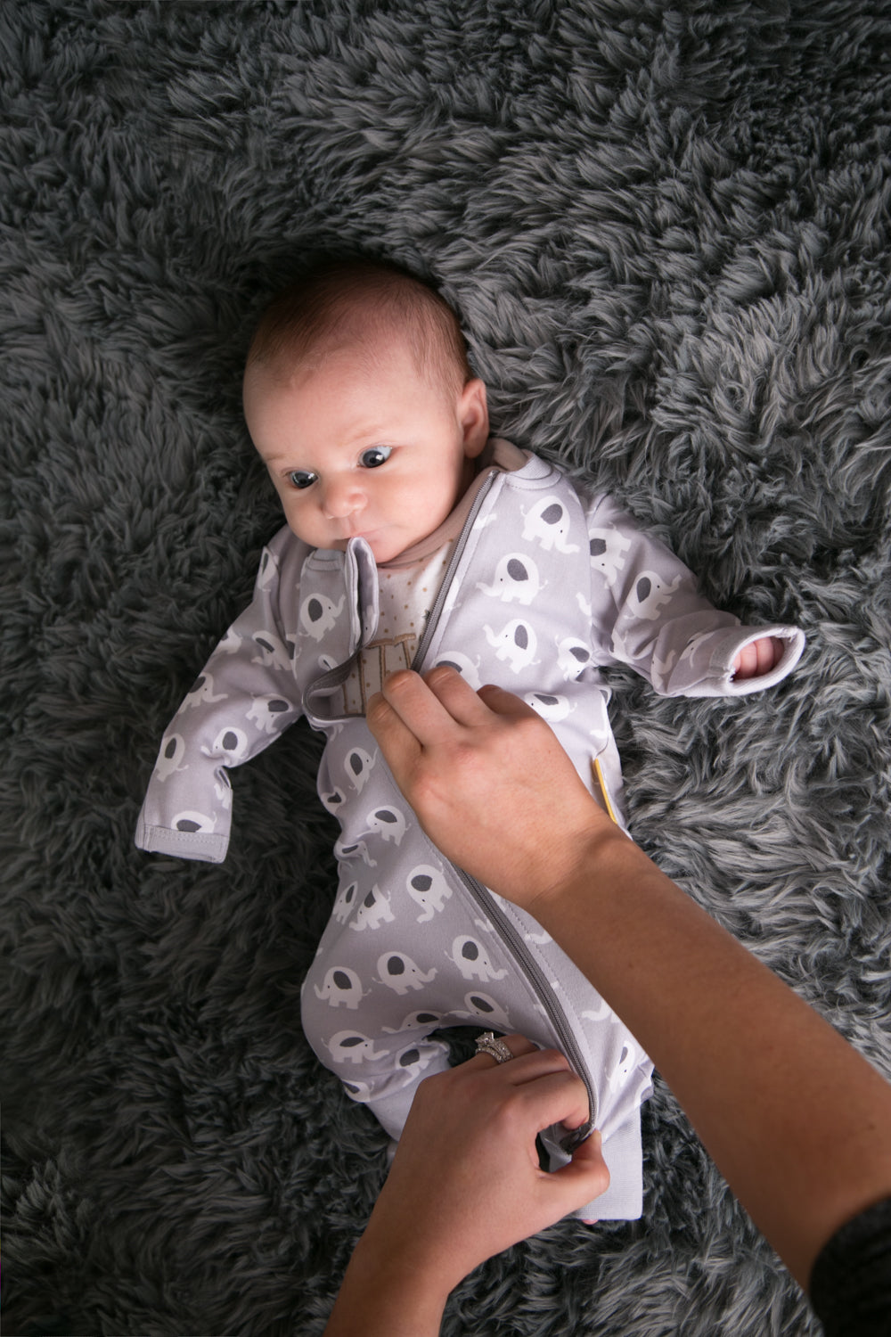 Ellie elephant organic cotton ZippyBoo suit