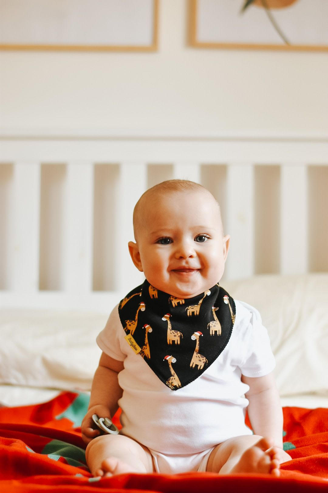 Tiktok Christmas bundle of bibs