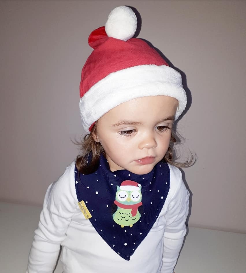 Tiktok Christmas bundle of bibs