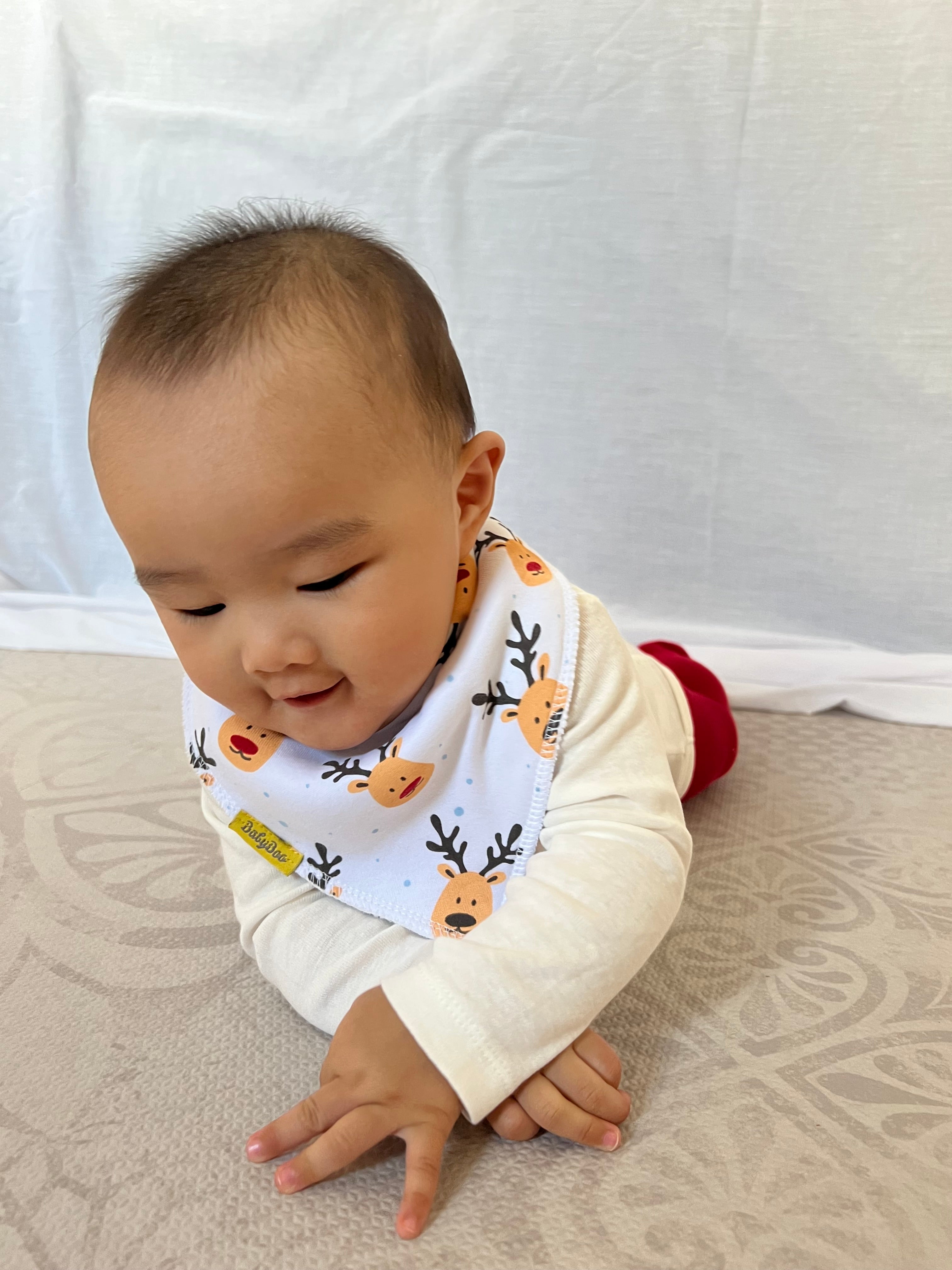 Tiktok Christmas bundle of bibs