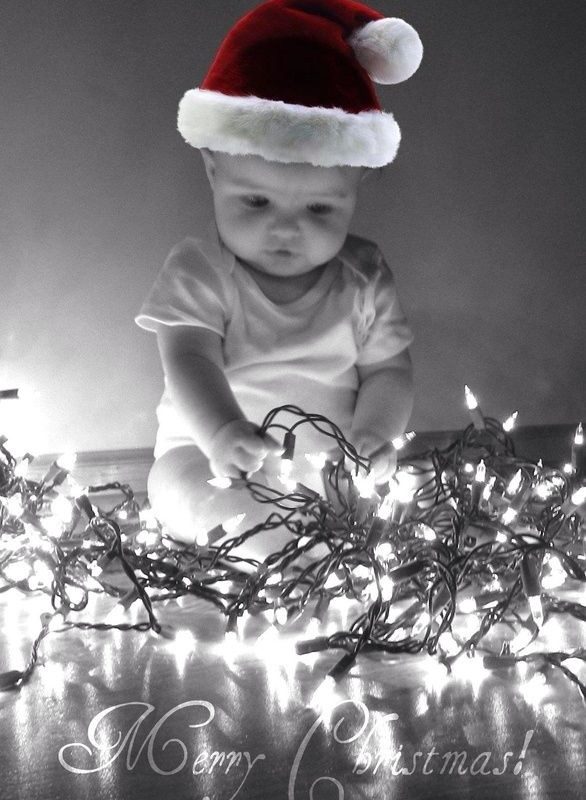 christmas photo