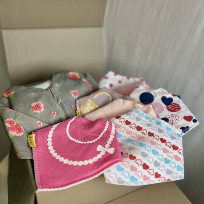 Luxury baby girl gift box (with ZippyBoo / a week of bibs)