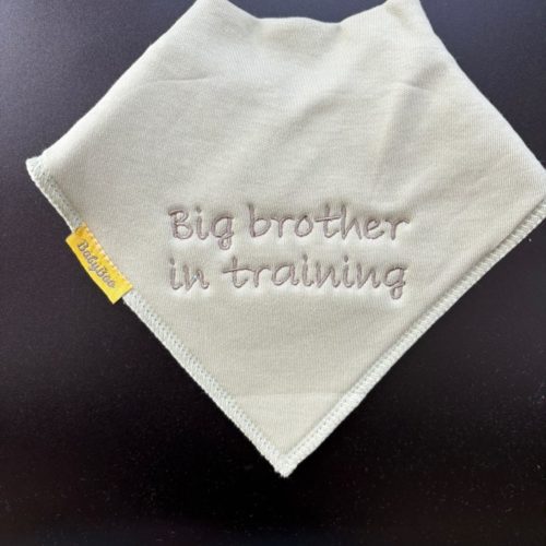 Big Brother in training organic cotton DribbleBoo bandana bib