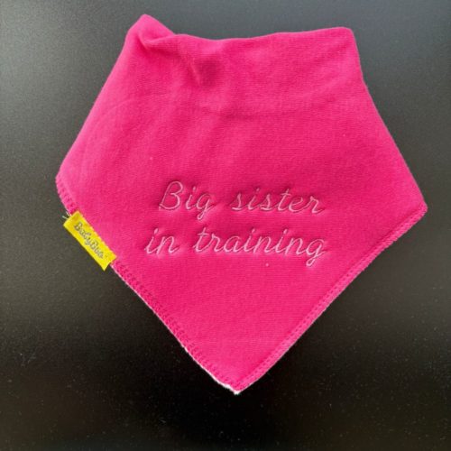 Big Sister in training organic cotton DribbleBoo bandana bib