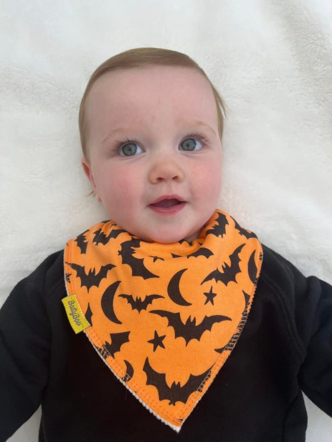Tiktok Halloween bundle of bibs - Image 2