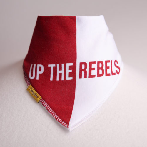 Cork GAA organic cotton DribbleBoo bandana bib